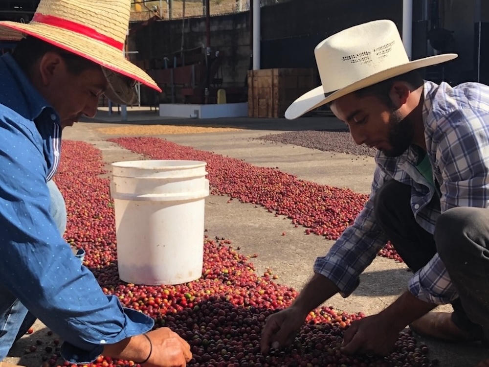 honduras capucas 2